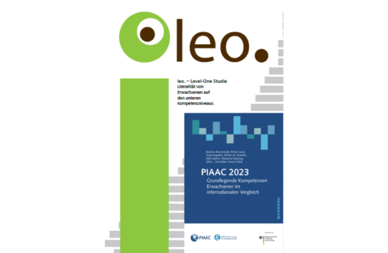 LEO-PIAAC 2023 Sonderanalyse